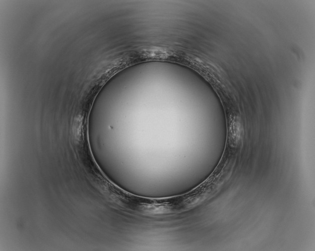 X0000112940511200909071057