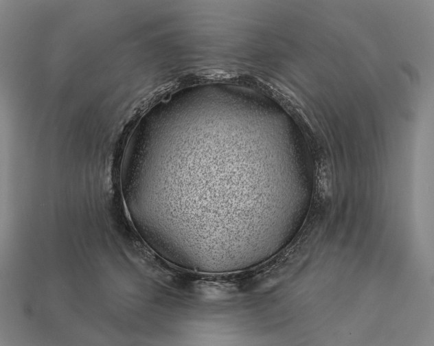 X0000112940512200909071057