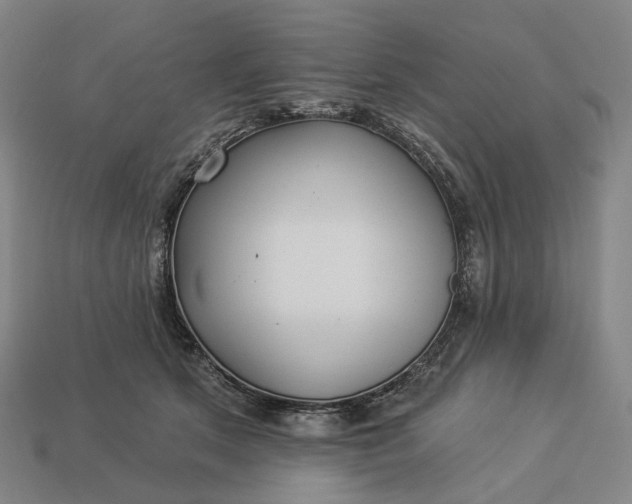 X0000112940513200909071057