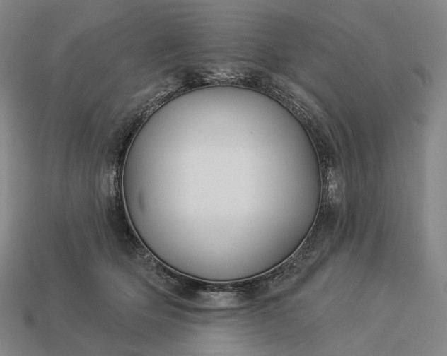 X0000112940514200909071057