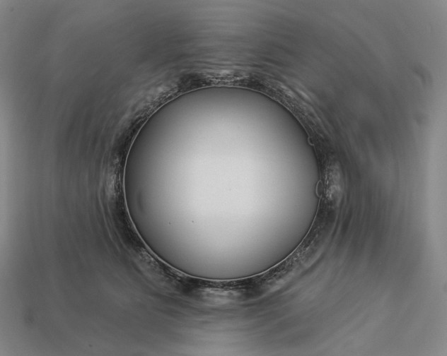 X0000112940515200909071057