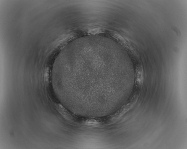 X0000112940519200909071057