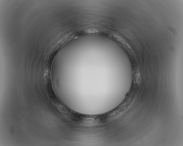 X0000112940521200909071057