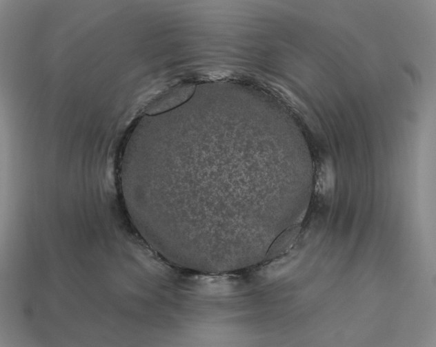 X0000112940524200909071057