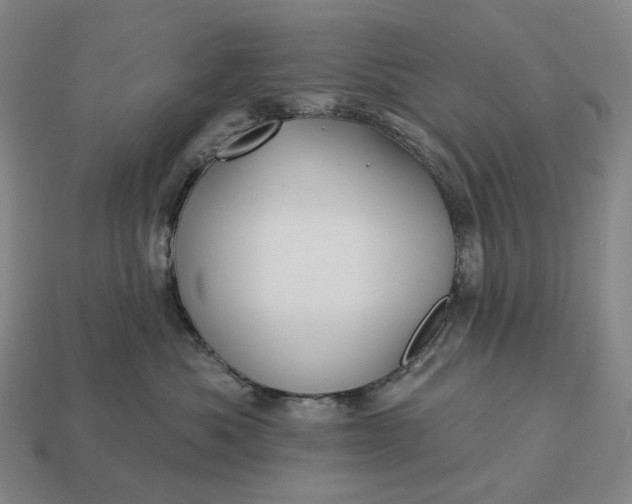 X0000112940525200909071057