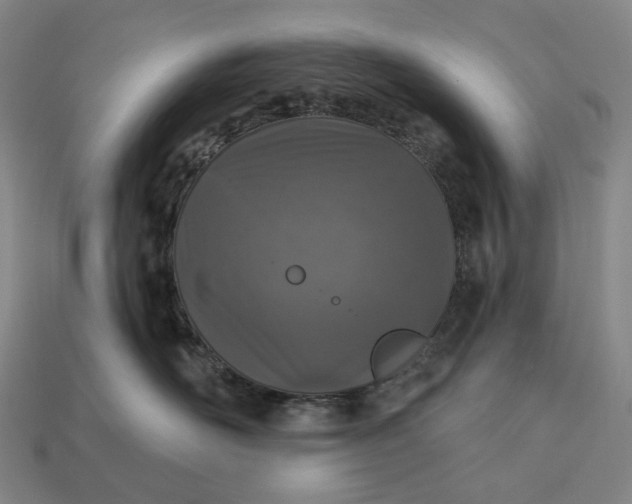 X0000112940526200909071057