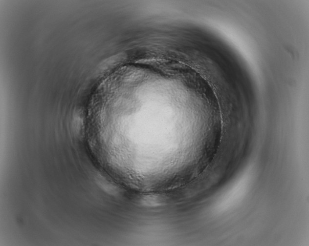 X0000112940527200909071057