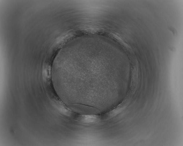 X0000112940528200909071057