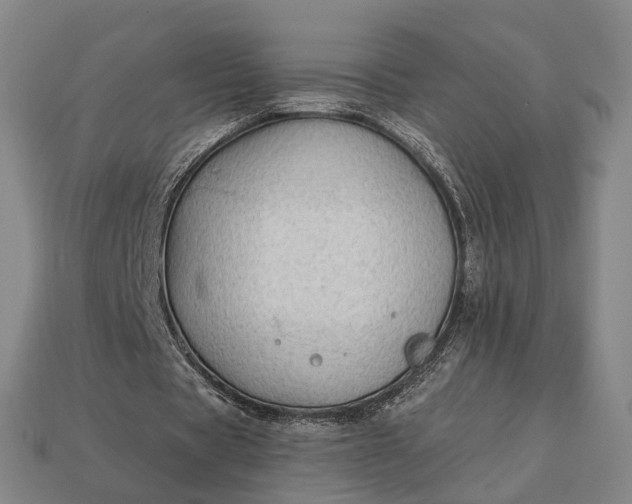 X0000112940529200909071056