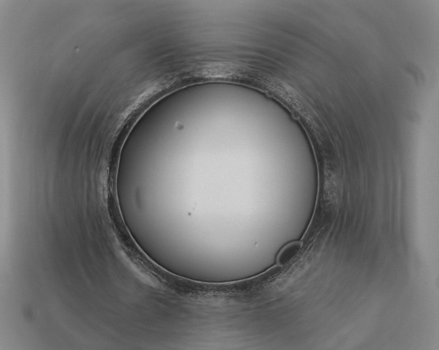 X0000112940530200909071056