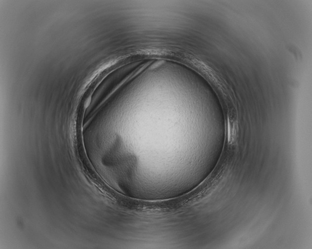 X0000112940531200909071057