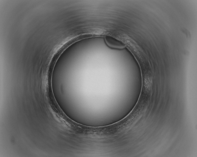 X0000112940532200909071057