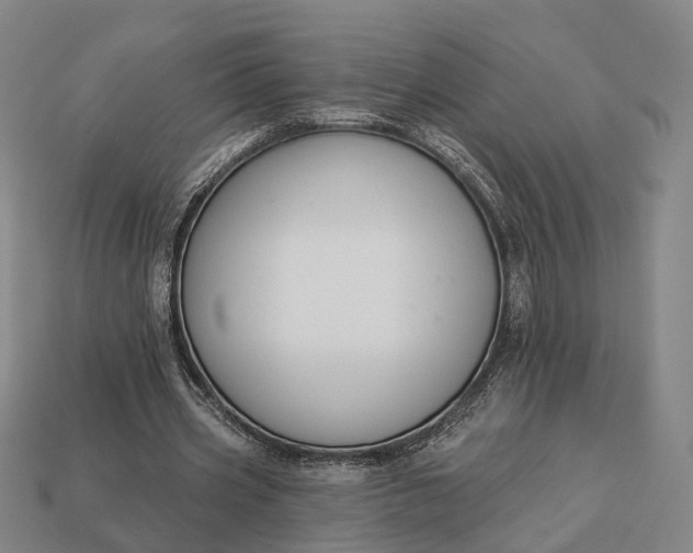 X0000112940533200909071057