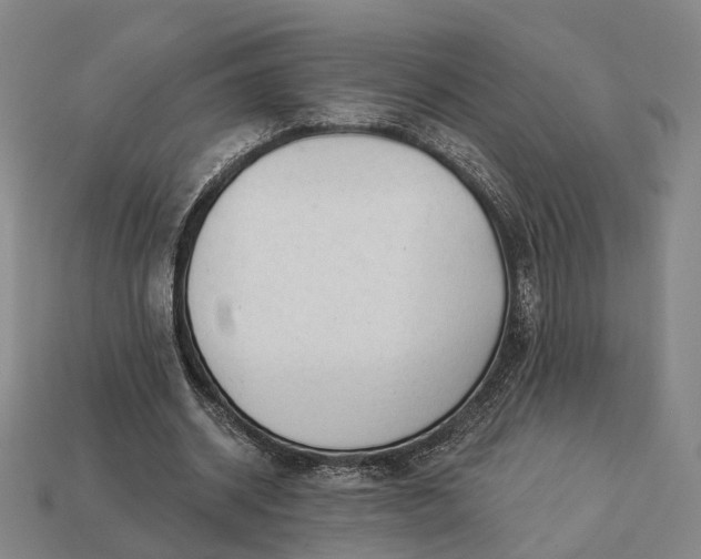 X0000112940534200909071057