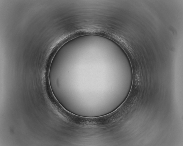 X0000112940535200909071057