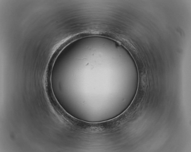 X0000112940536200909071057