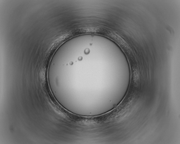 X0000112940537200909071057