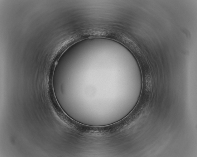 X0000112940538200909071057