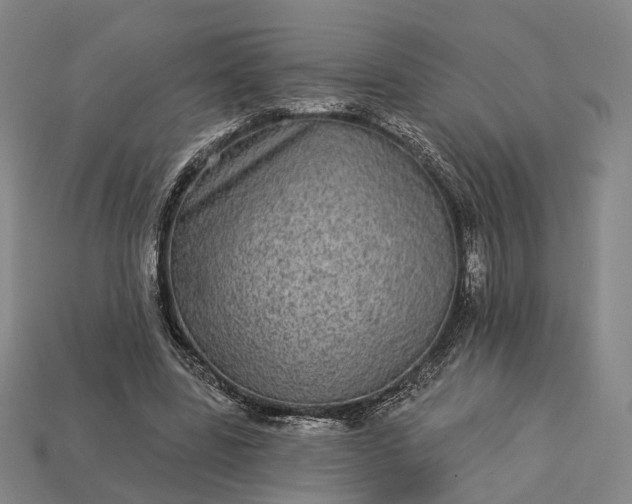 X0000112940539200909071057