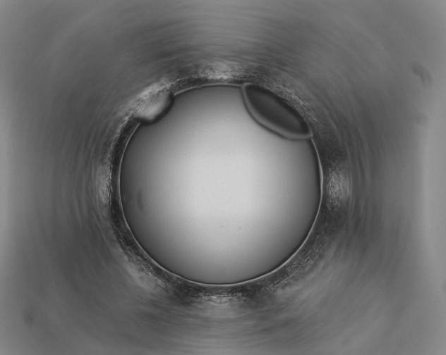 X0000112940540200909071057