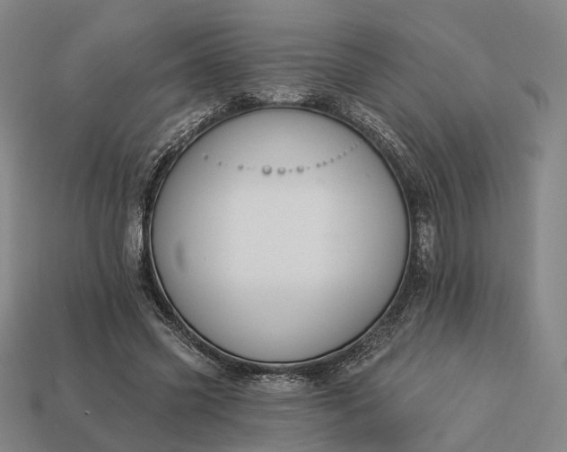 X0000112940541200909071057