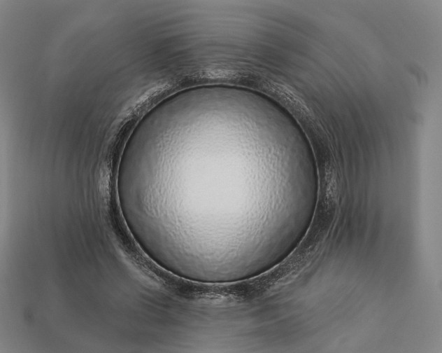 X0000112940542200909071057