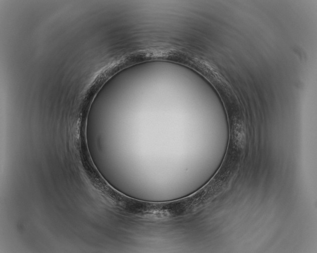 X0000112940543200909071057