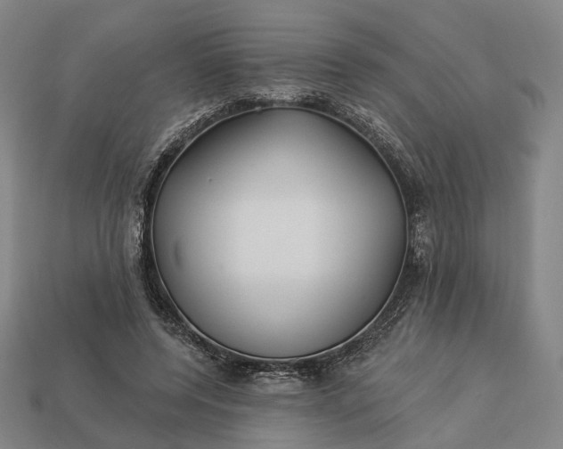 X0000112940544200909071057