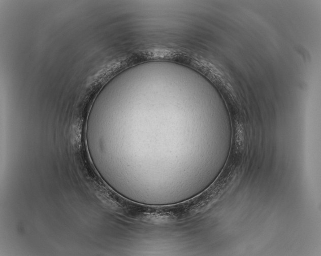 X0000112940545200909071057