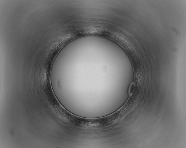 X0000112940546200909071057