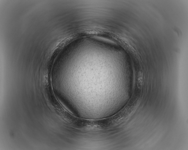 X0000112940547200909071057