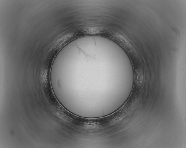 X0000112940549200909071057