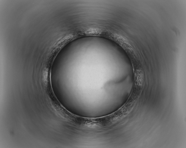 X0000112940550200909071057