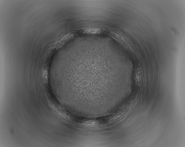 X0000112940551200909071057