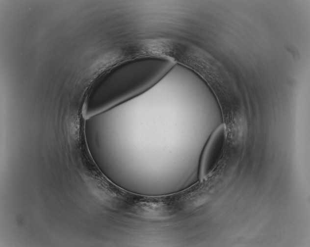 X0000112940552200909071057