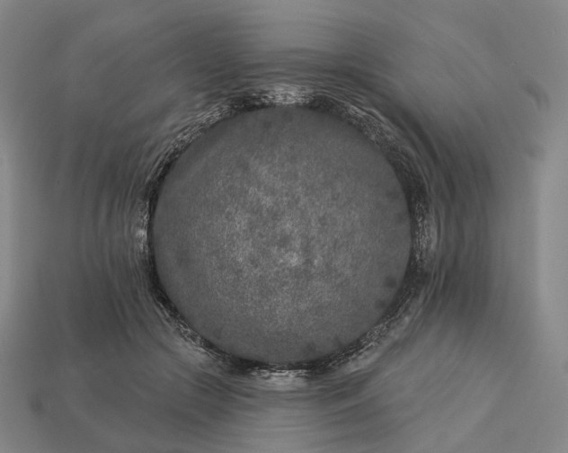 X0000112940553200909071057