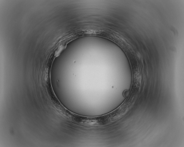 X0000112940554200909071057