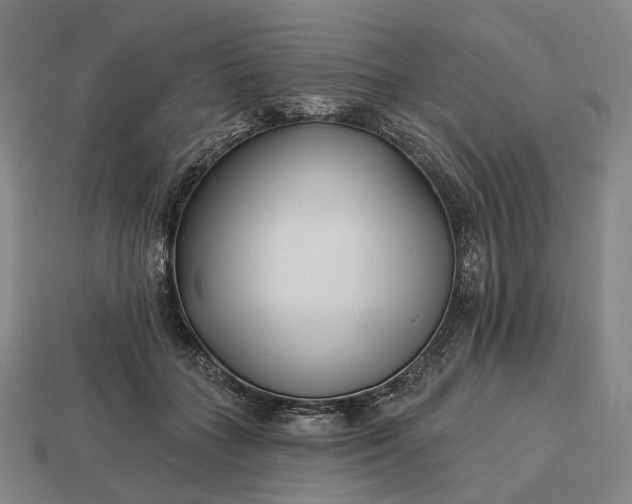 X0000112940555200909071057