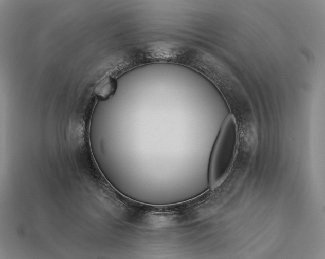 X0000112940556200909071057