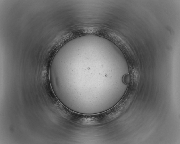 X0000112940557200909071057