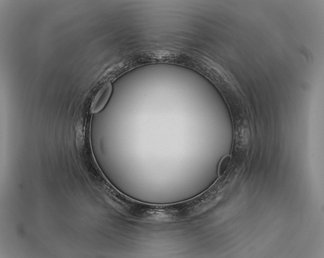 X0000112940558200909071057