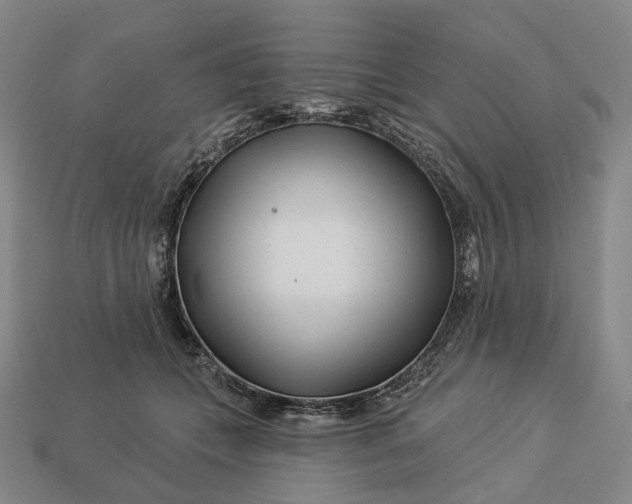 X0000112940559200909071057