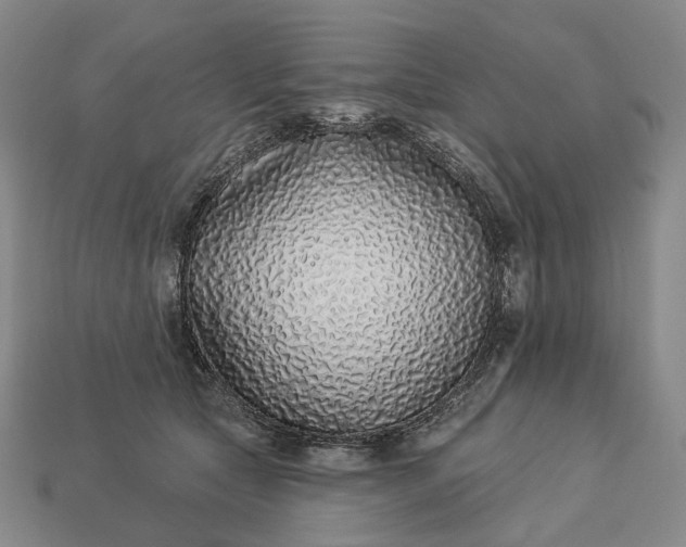 X0000112940561200909071057