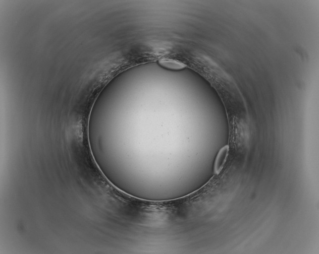 X0000112940562200909071057