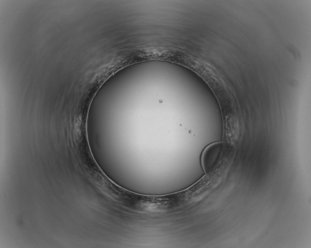 X0000112940563200909071057