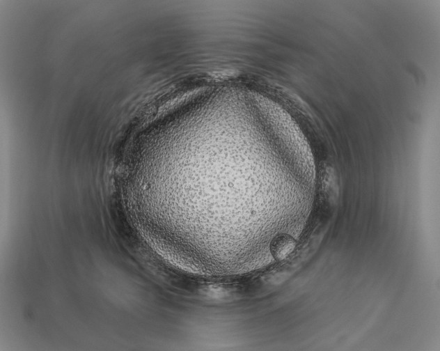 X0000112940565200909071057