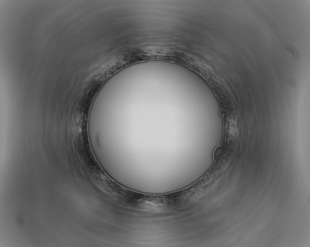 X0000112940567200909071057