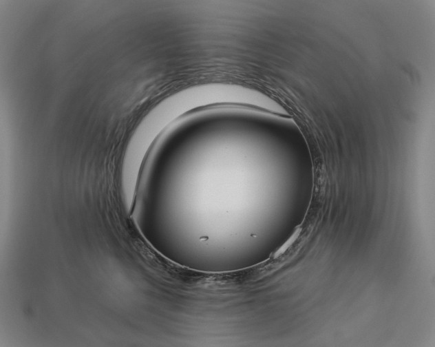 X0000112940568200909071057