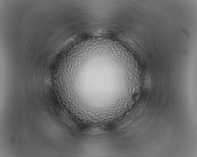 X0000112940569200909071057