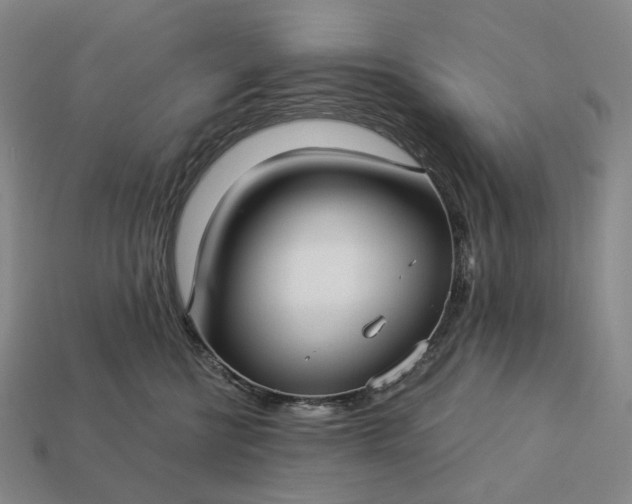 X0000112940570200909071057